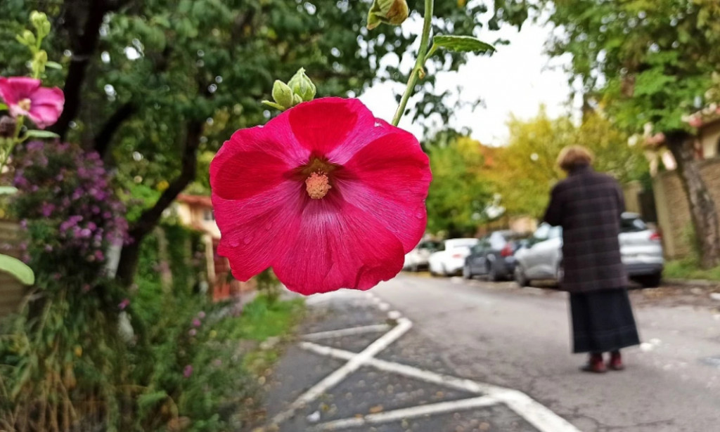 The street I live on