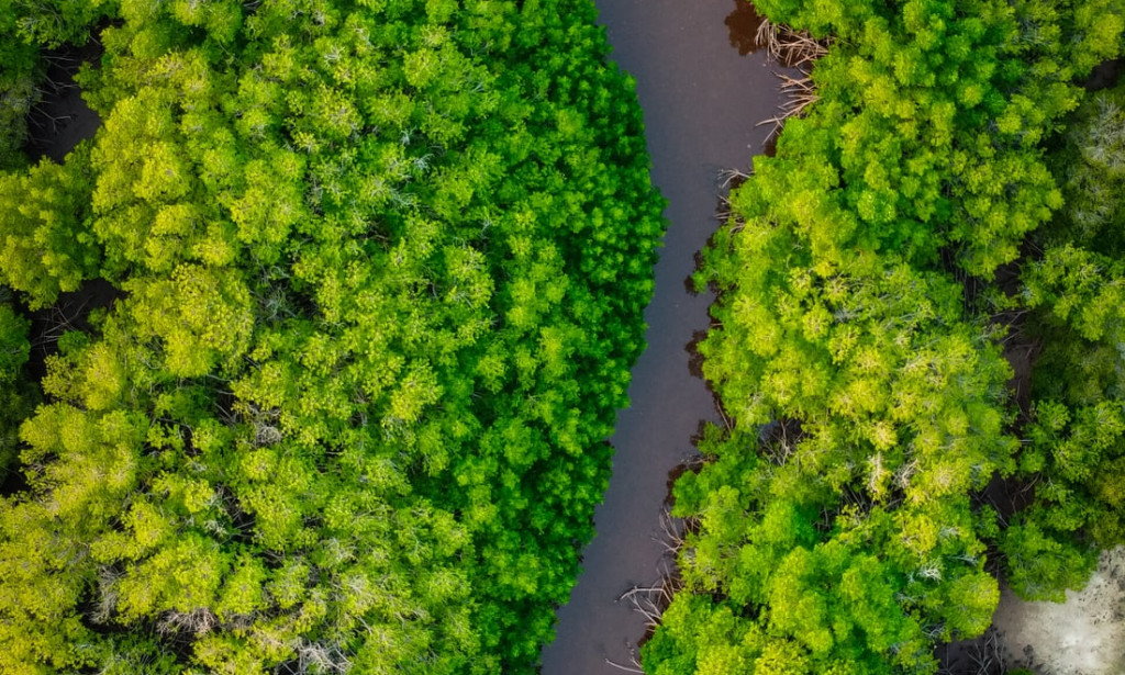 Nature's Greatest Moments