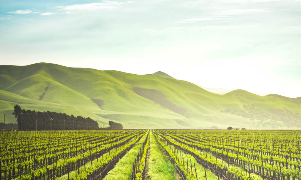 Achieving a stoic life.