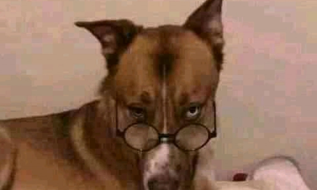 Does a monster feed?