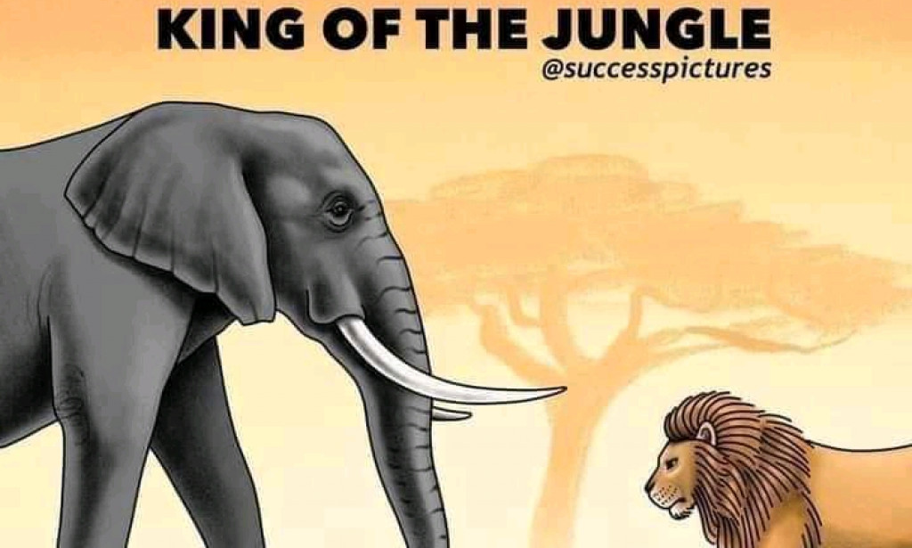 TIMIDITY, A SILENT KILLER