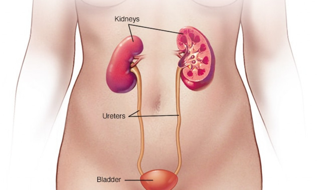 S*ex*ual intercourse : Effects of UTI