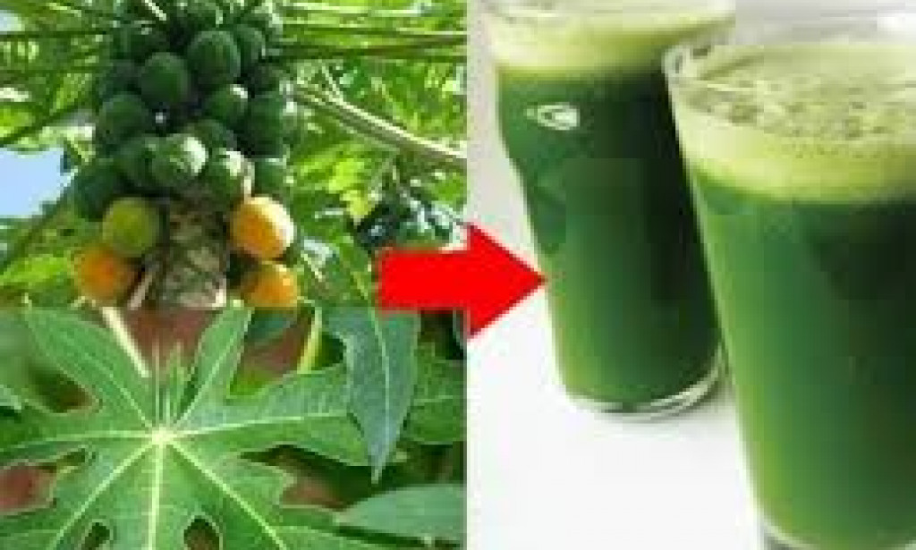 Drink pawpaw leaves in the morning regularly to cure following diseases.