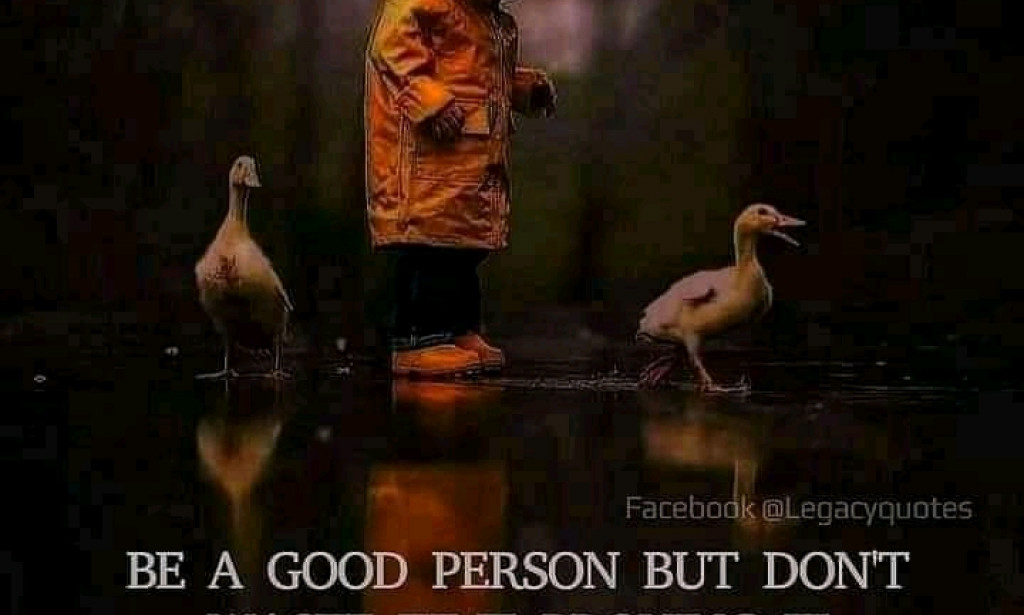 Life Baboons getting chased by water