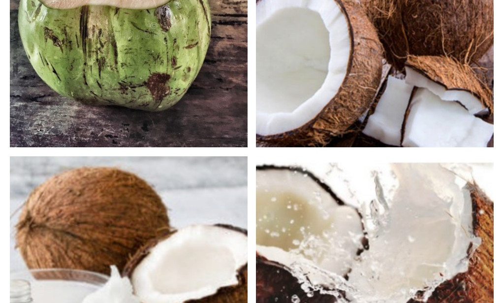 5 facts you need to know about coconut.