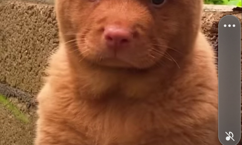 5 Misconceptions About Introverts Everyone Thinks Are True.