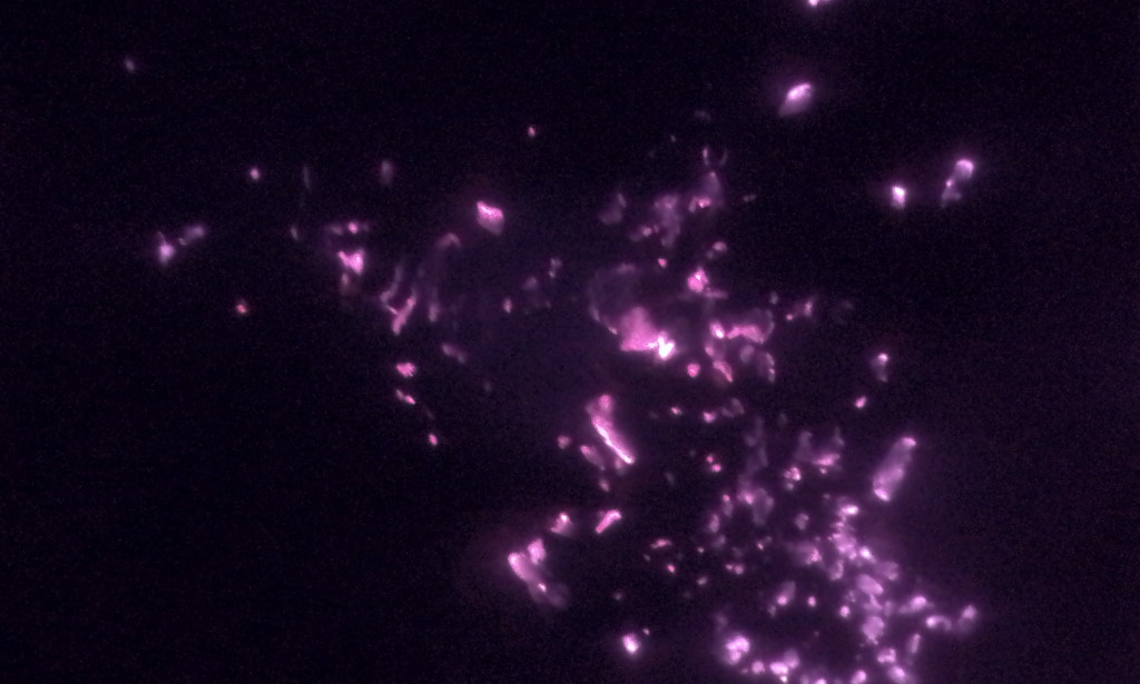 Facts About Lagos Nigeria