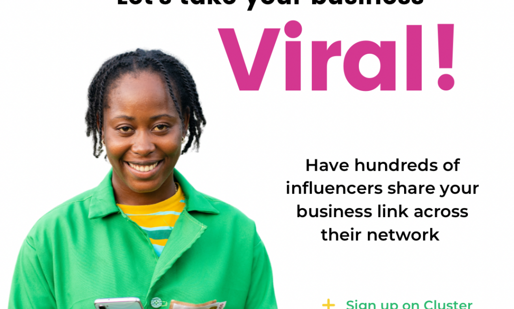 Cluster Reviews Scam or Legit Register Login how ads.cluster.live works