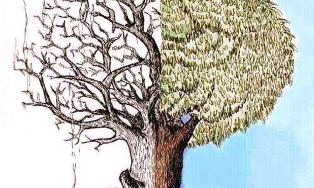 GLOBAL NORTH AND GLOBAL SOUTH OR RACISM IN DISGUISE