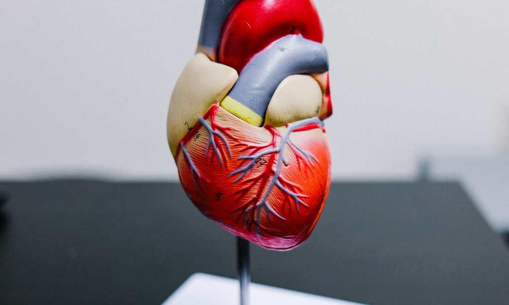 what to do after a heartfailure diagnosis