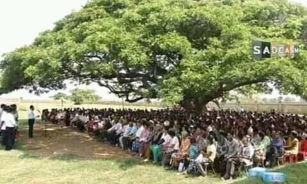 Aforestation and it's importants