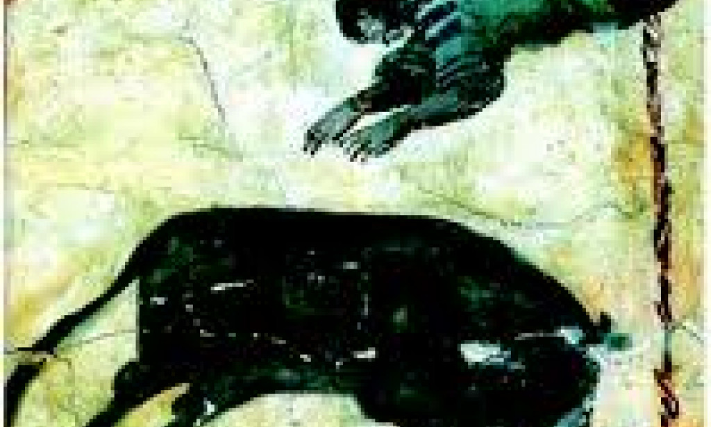 THE LEAP OVER THE FENCE