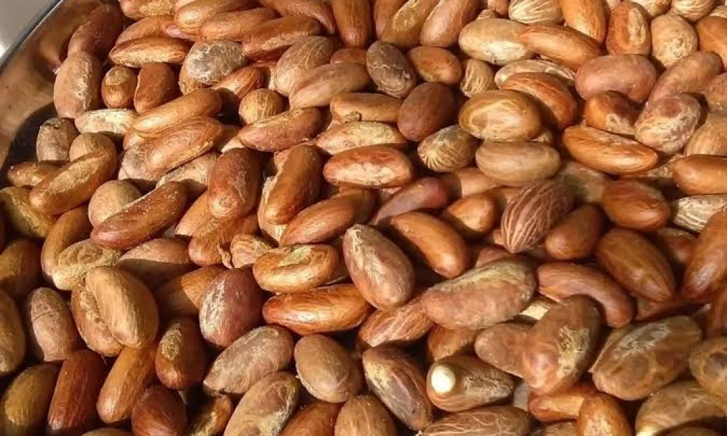 Bitter Kola Health Benefits