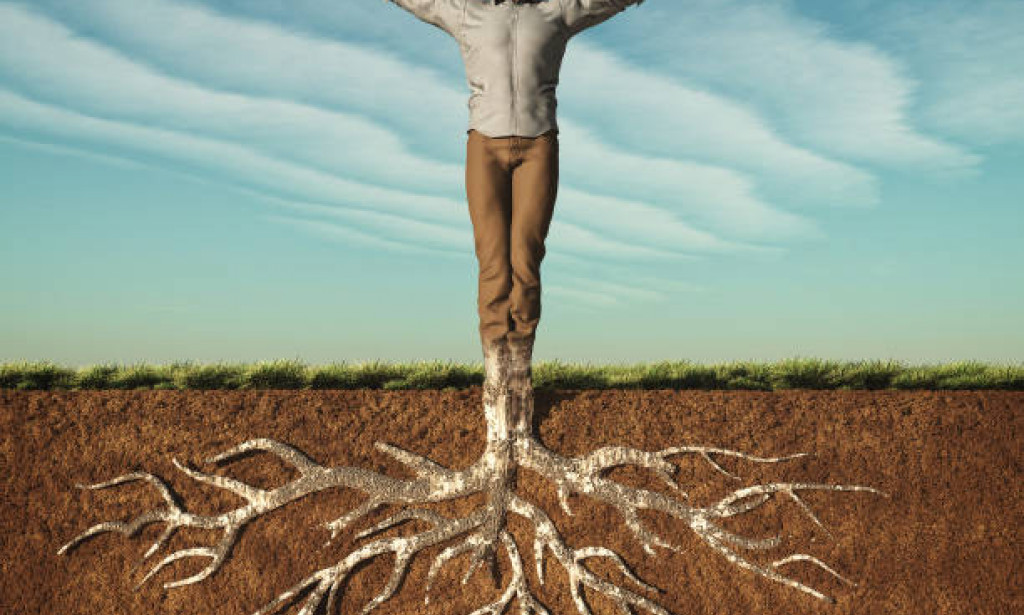 RELATIONSHIP BETWEEN ROOTS AND FRUITS..