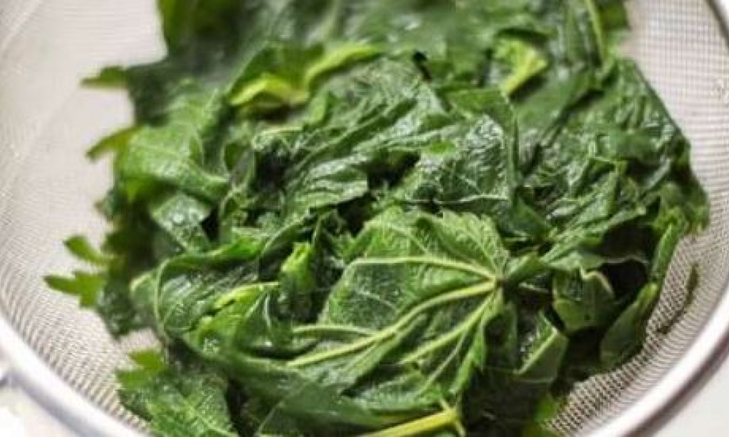 YOUR BLOOD TYPE AND THE FOOD TO EAT, TO BE HEALTHY.