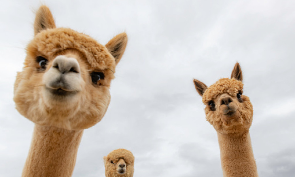 Let's save our environment