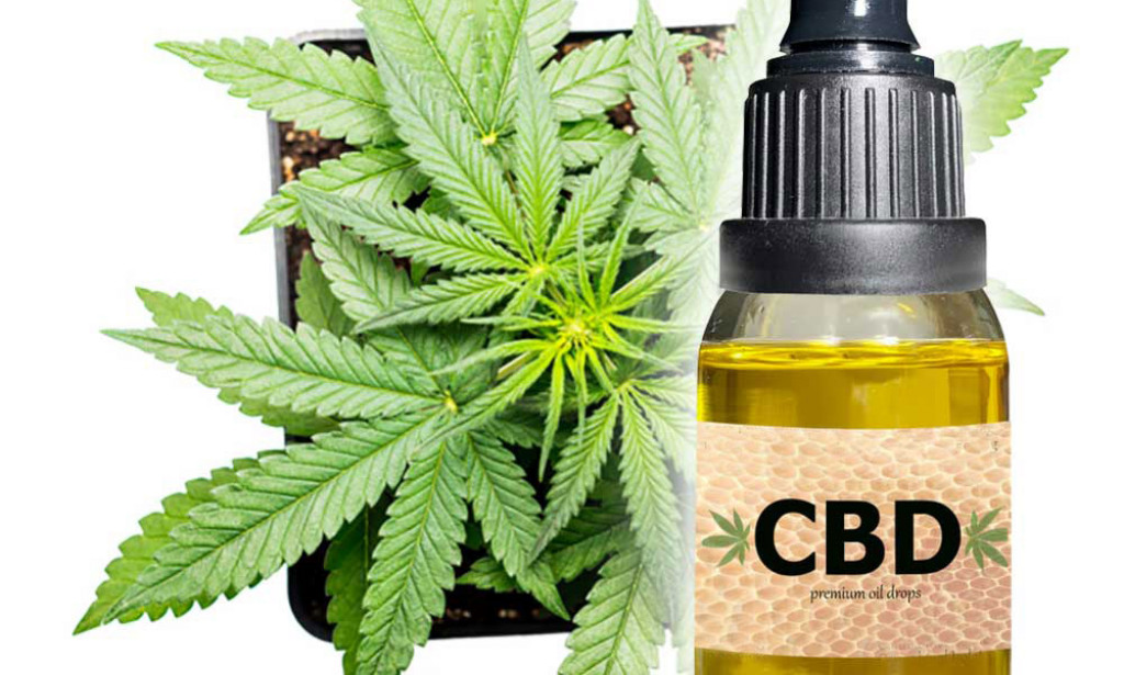 What do you Know About CBD?