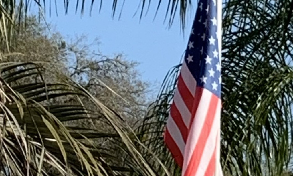 The Flag Brought Us Together