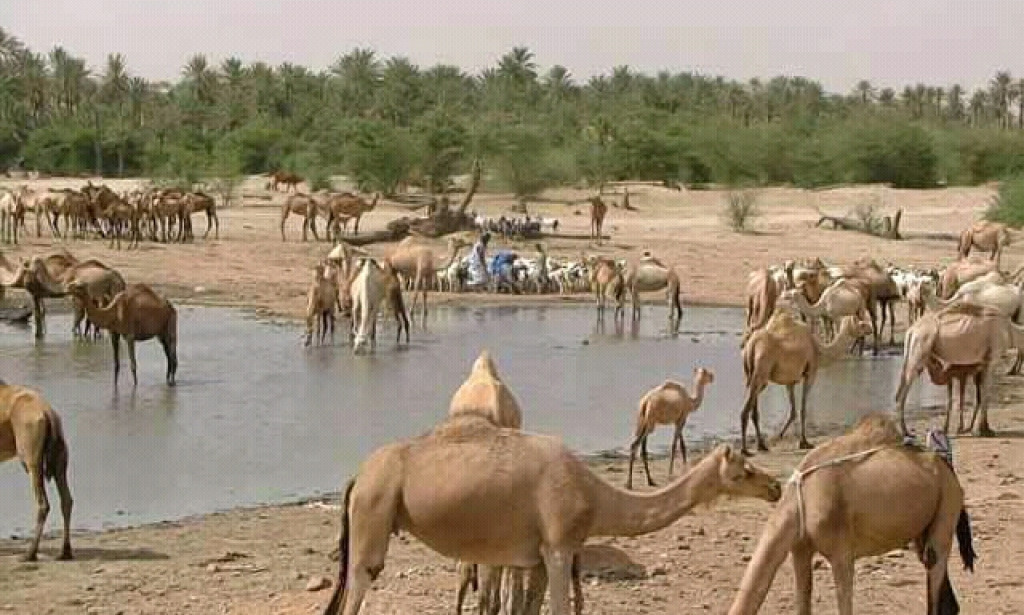 PORTABLE WATER: A MOST PREVENTIVE SUBSTANCE AND HARMFUL WHEN CONTAMINATED