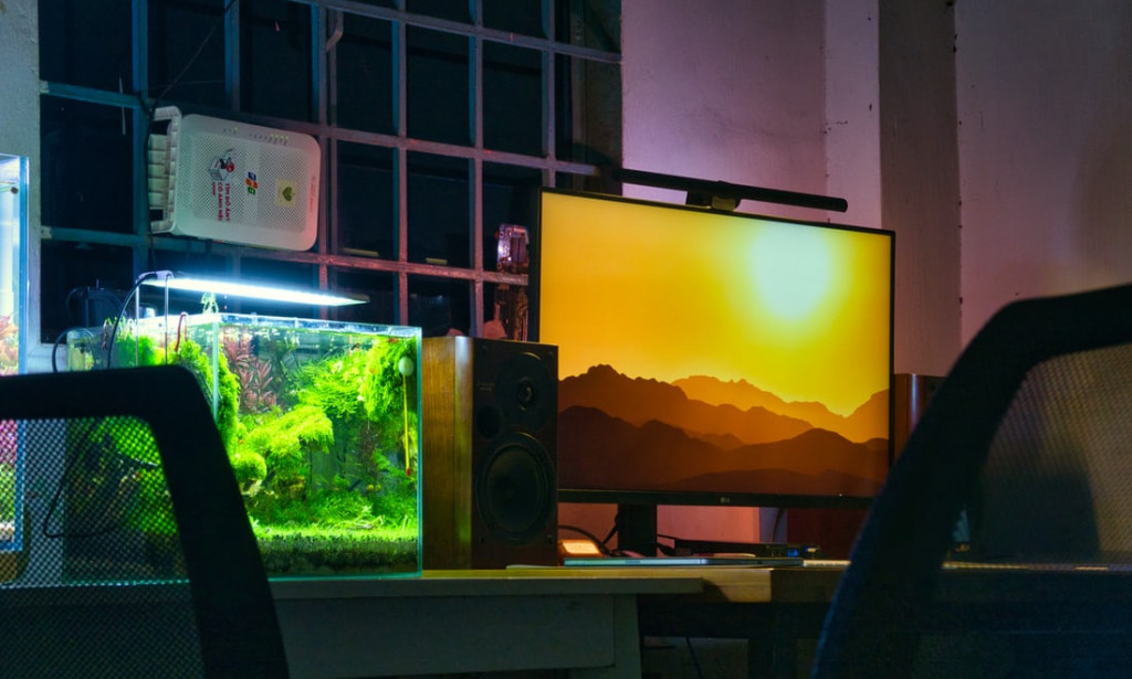 LG is it the best TV in 2022