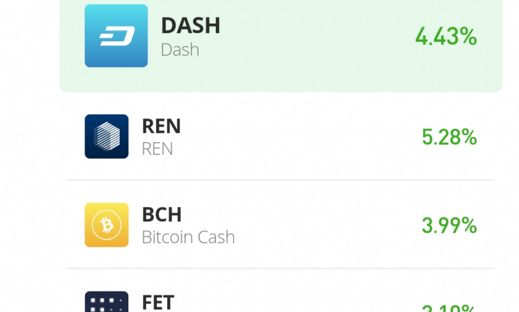 CryptoCoins: Long term crypto market investment