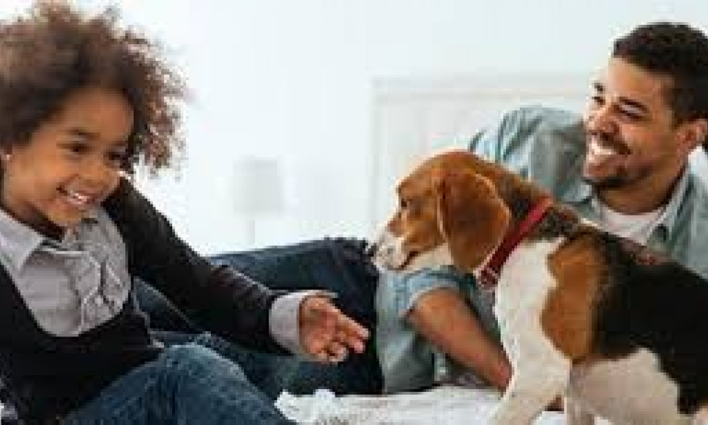 The Power of Pets to Enhance Your Health and Happiness