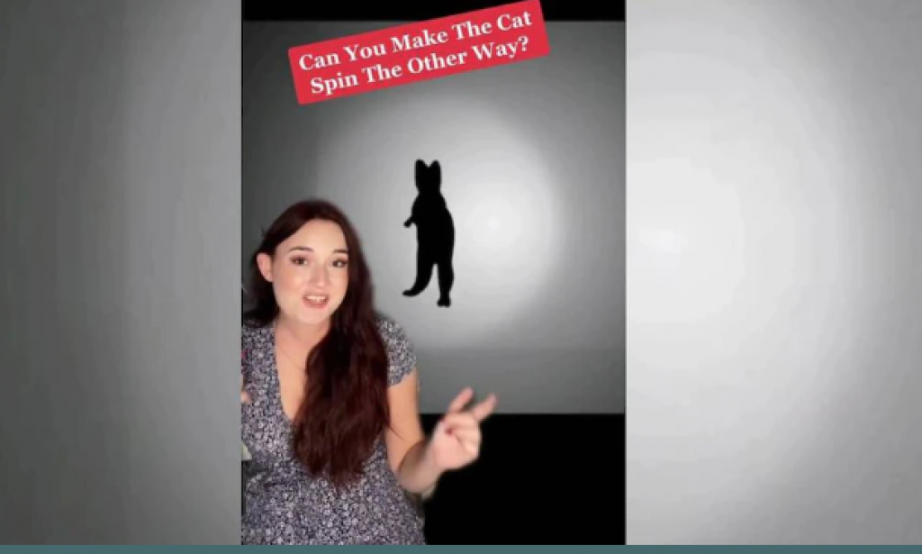 To which side does the cat turn, the optical illusion that baffles users