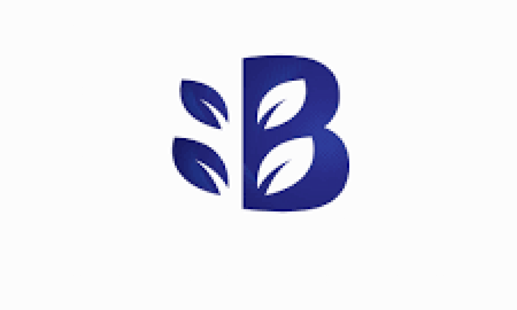 BlezzyCash App Review Legit Or Scam?