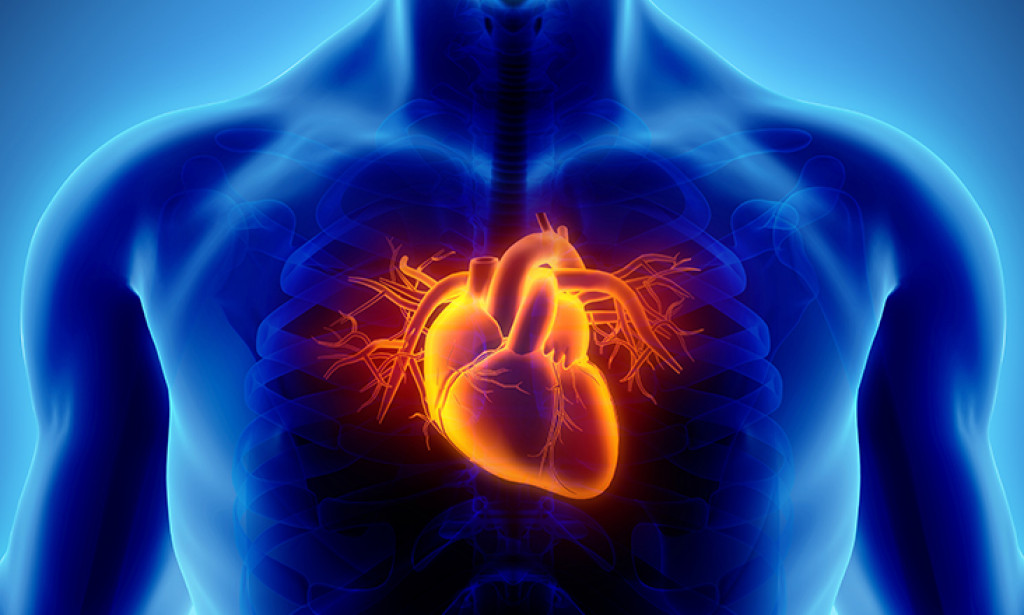 CORONARY ARTERY DISEASE (CAD)