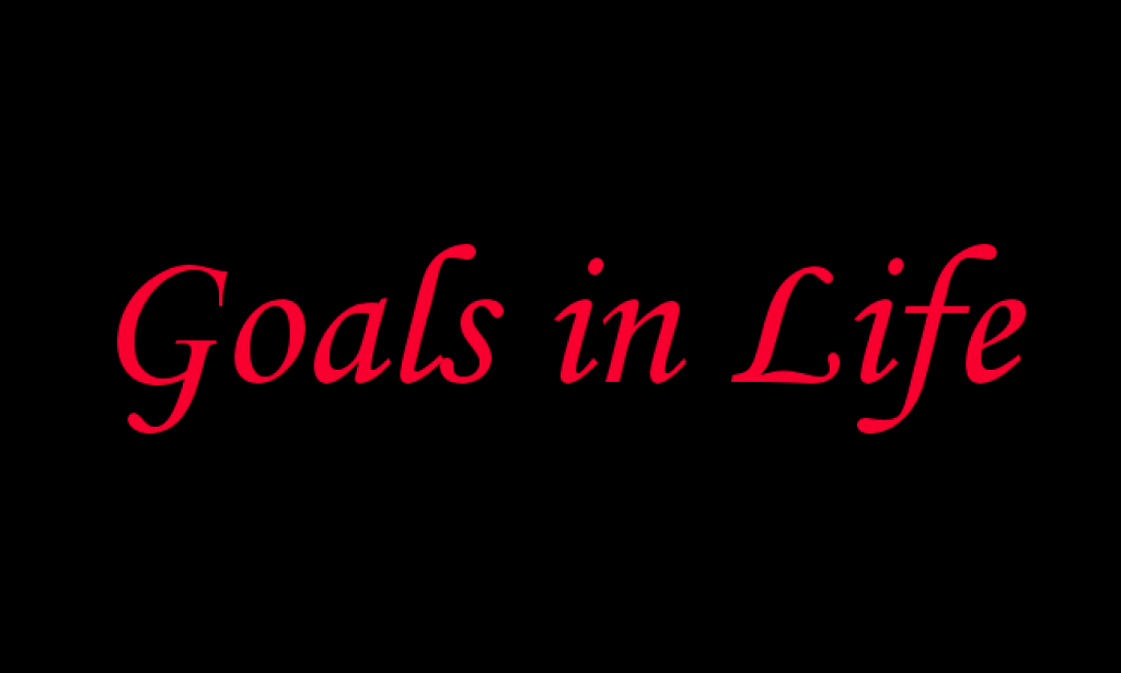 Opinion:5 Reasons Why We Set Goals in Life Before Dieing