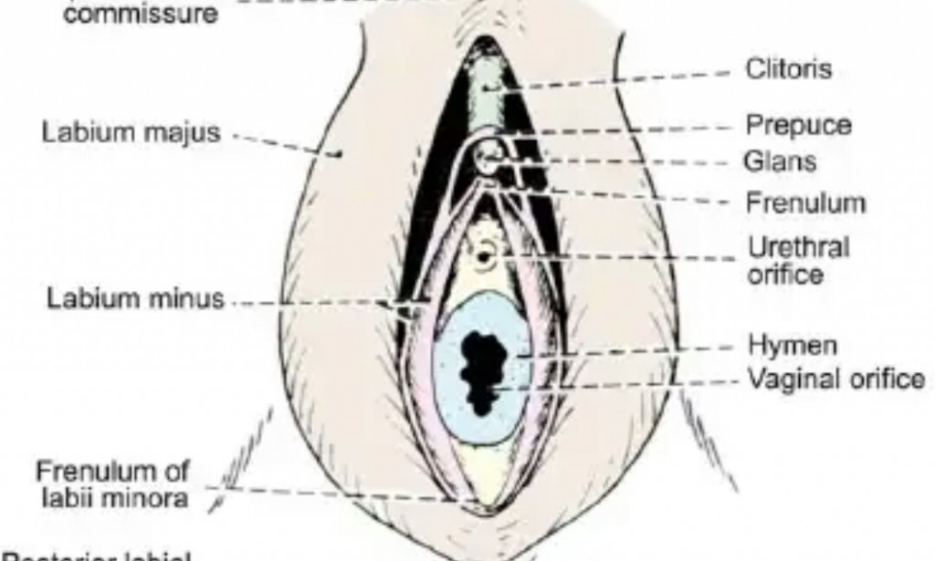 All Virgin Girls Needs To Have This In Their Minds.