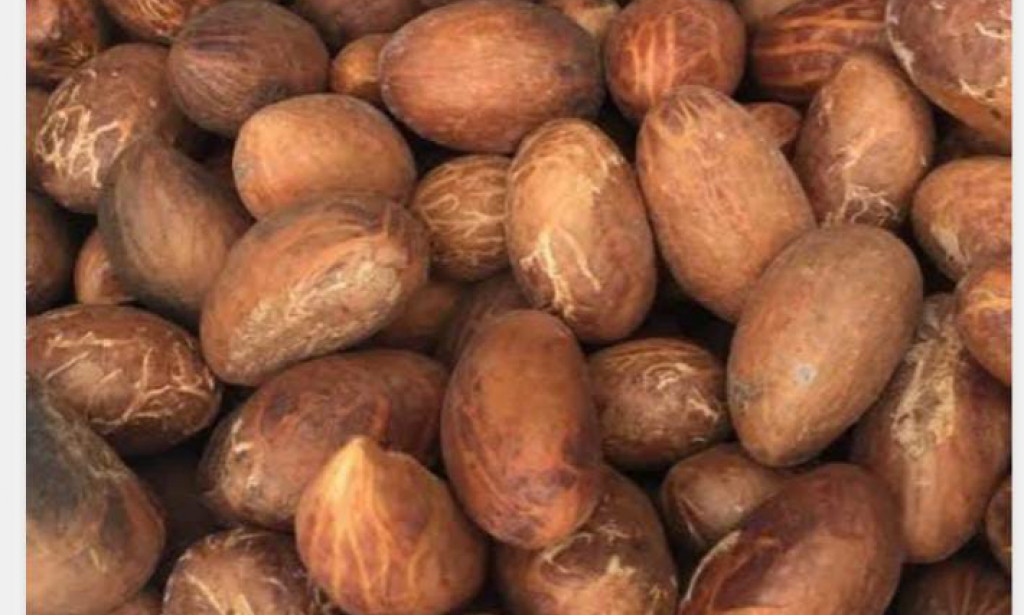 4 wonderful health benefits (BITTER COLA) can do to human body.