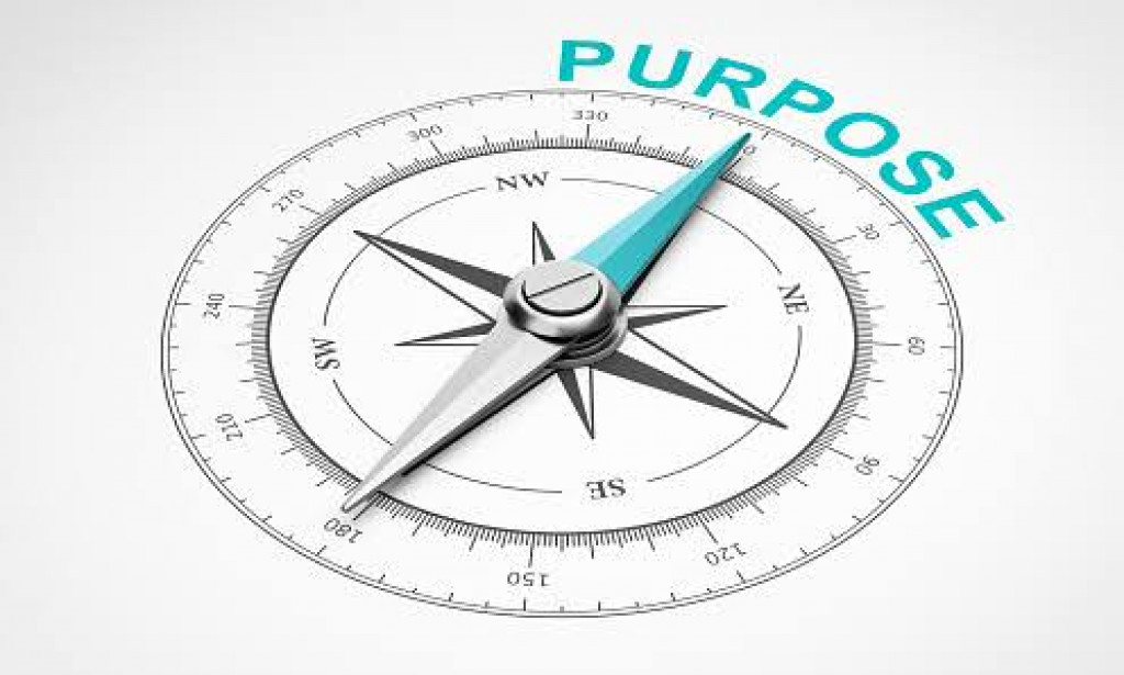 Finding the pathways to purpose 