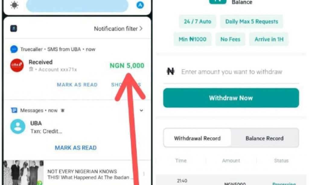 Phoenixcontact.ltd Review Legit or Scam Phoenix Contact