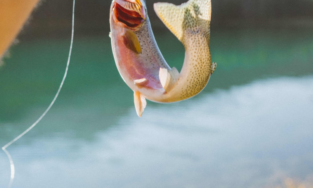 Fishing as a hobby doesn't affect your family life