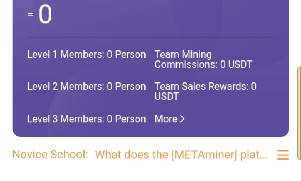 Is metaminer.vip legit or scam?