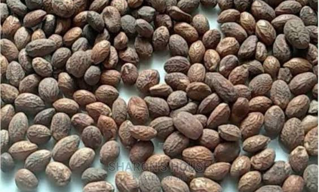 Health Benefits Of Miracle Seeds
