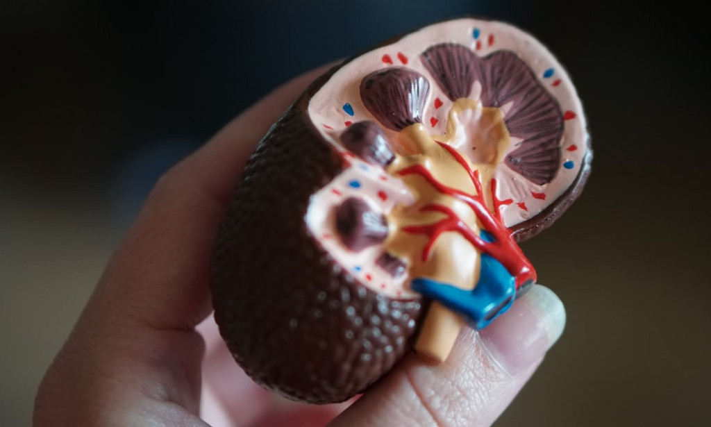 Drug That Can Damage Your Kidneys And Liver If Carelessly Taken