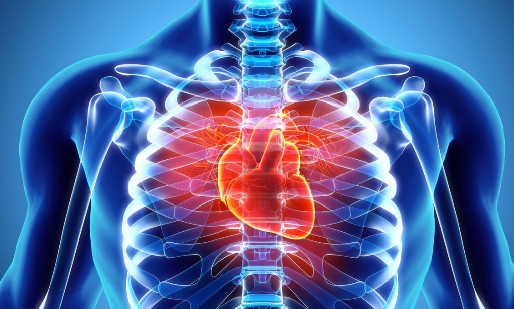 Six Ways To Reduce Your Heart Diseases Risk Without Drugs