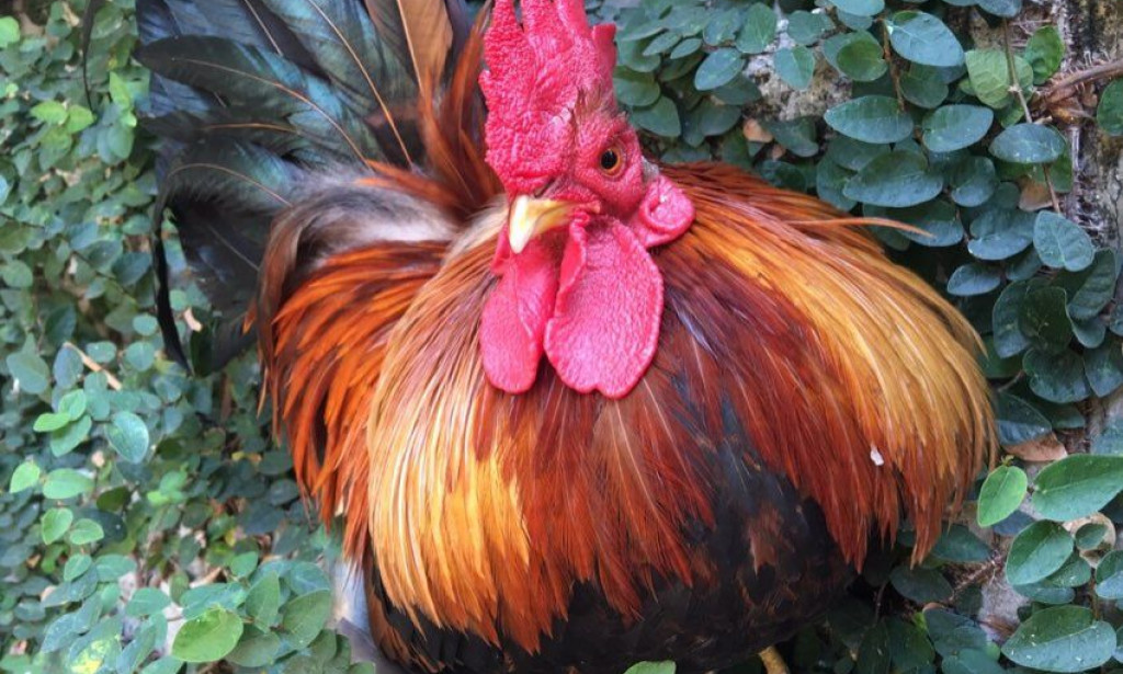 6 Small Business You Can Start With Minimal Capital In Nigeria