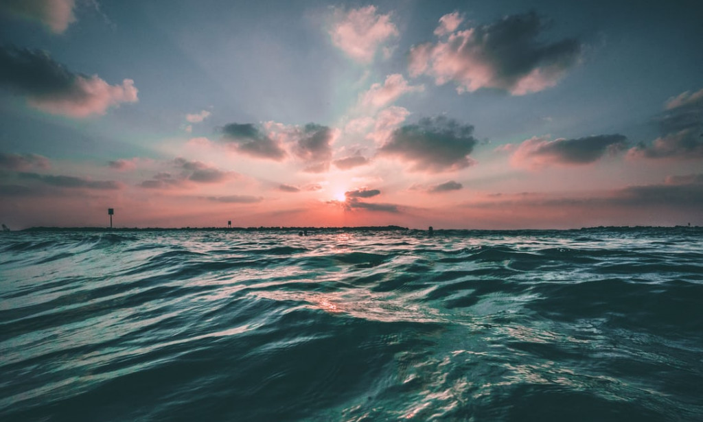 Mystery of ocean life, more than eyes can see