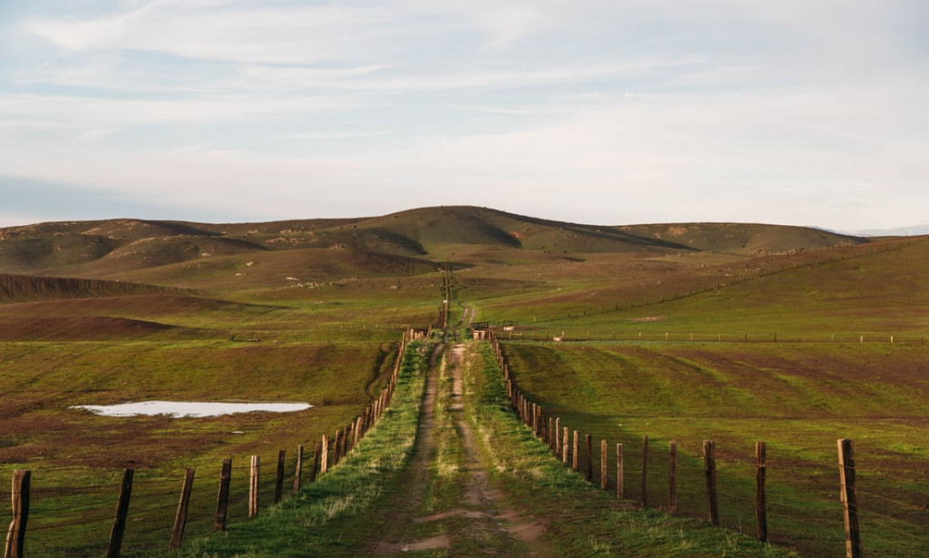 My search for greener pastures