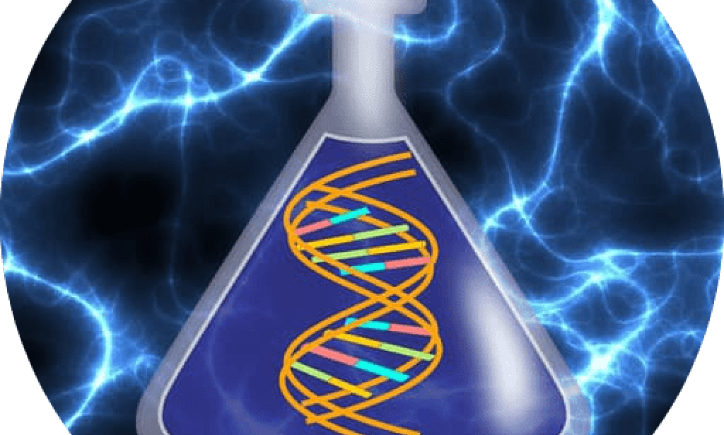 BIOCHEMISTRY AND GENETICS BASIS OF ABO BLOOD GROUP SYSTEM