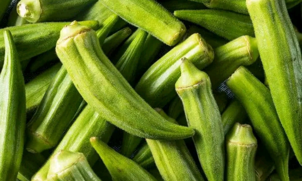 23 Things To Know About Okra