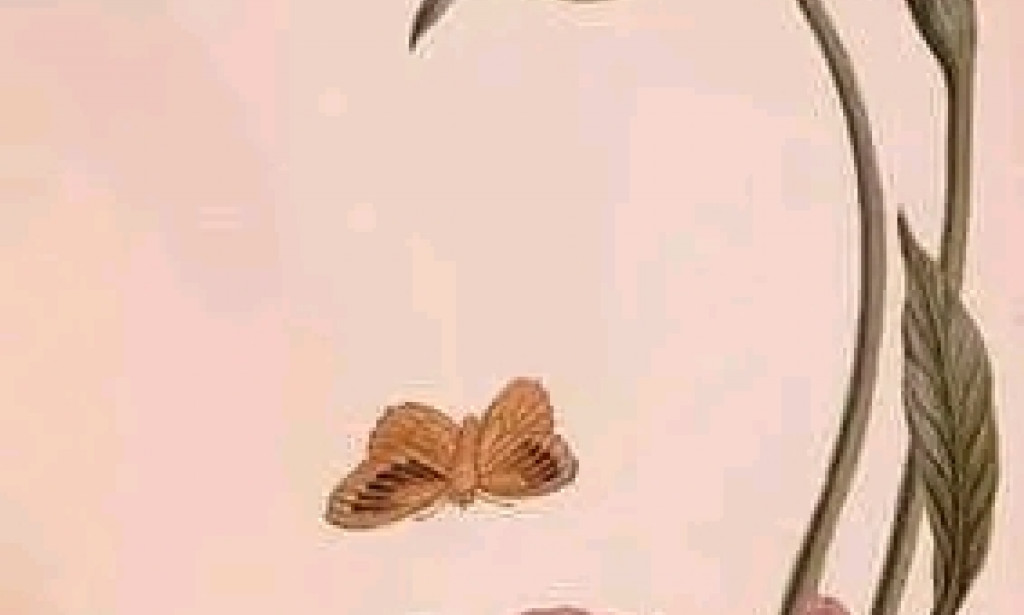 True story Be careful who you push out of your life