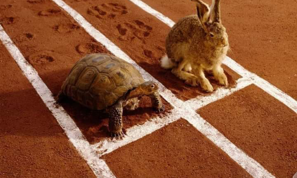 The Race Between The Turtle and The Rabbit