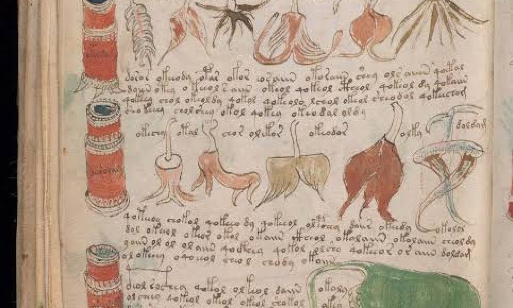 Unsolved Mystery: Checkout Things You Need To Know About The Voynich manuscript