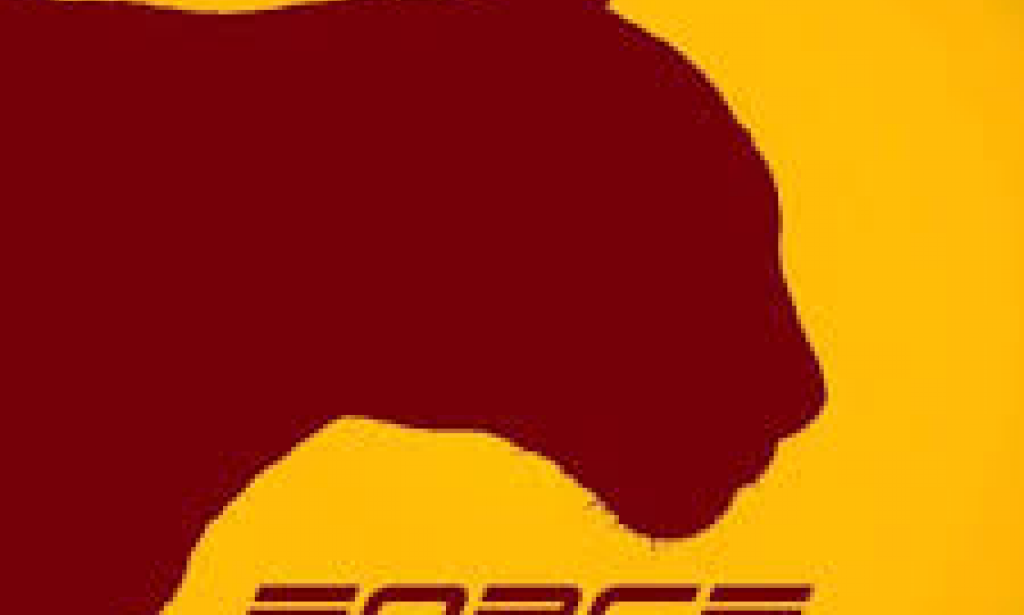 MetaForce Smart Contract review Scam or Legit