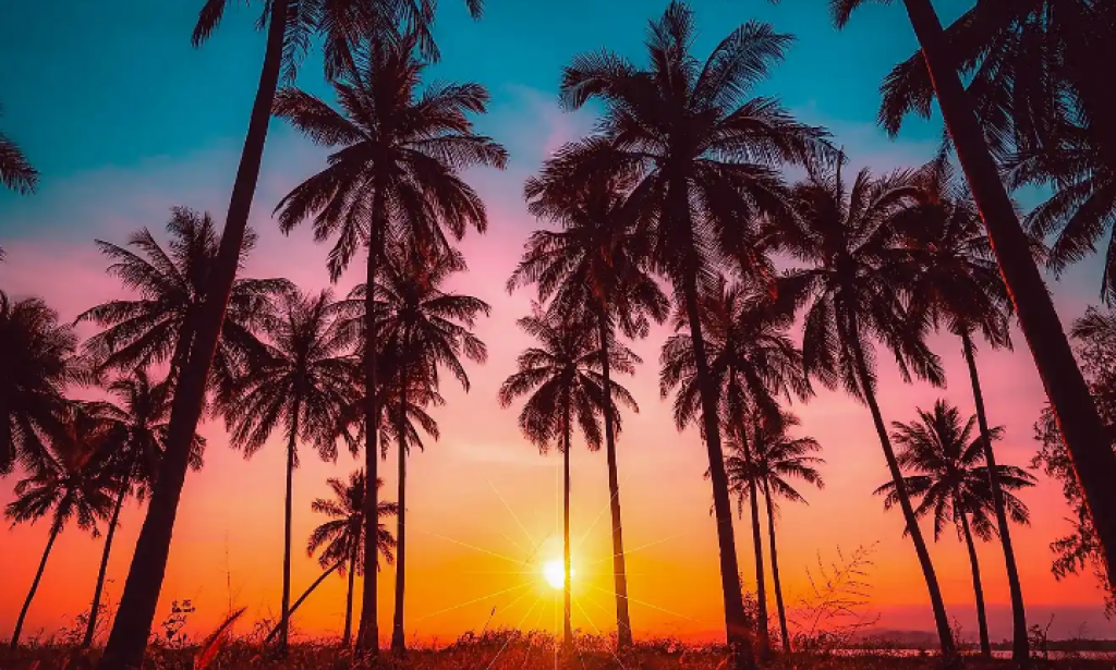 TRUTH ABOUT FREELANCING