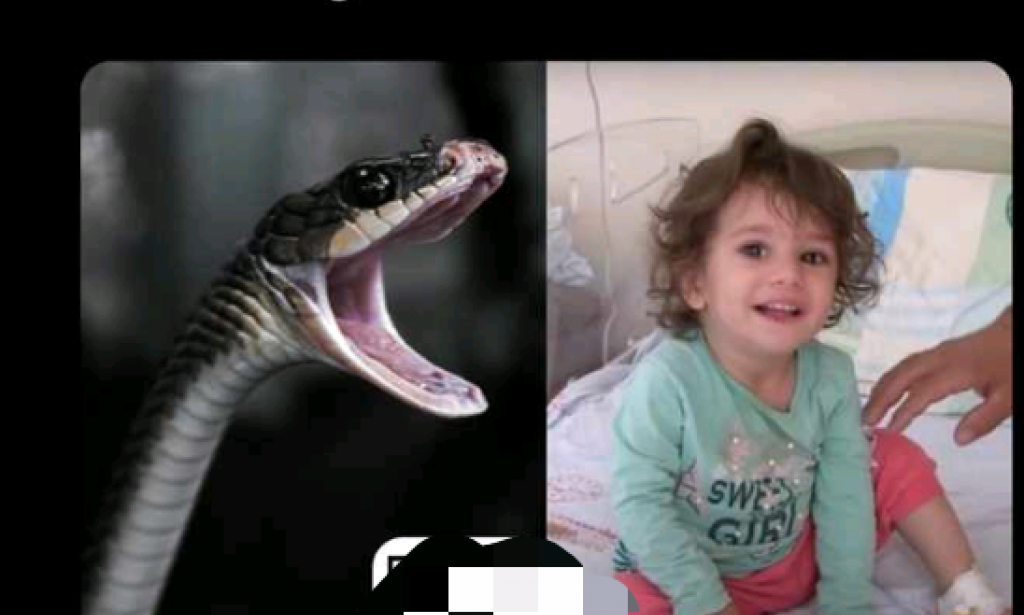 AMAZING: this young girl bite and kill's a snake just after she was being beating first.